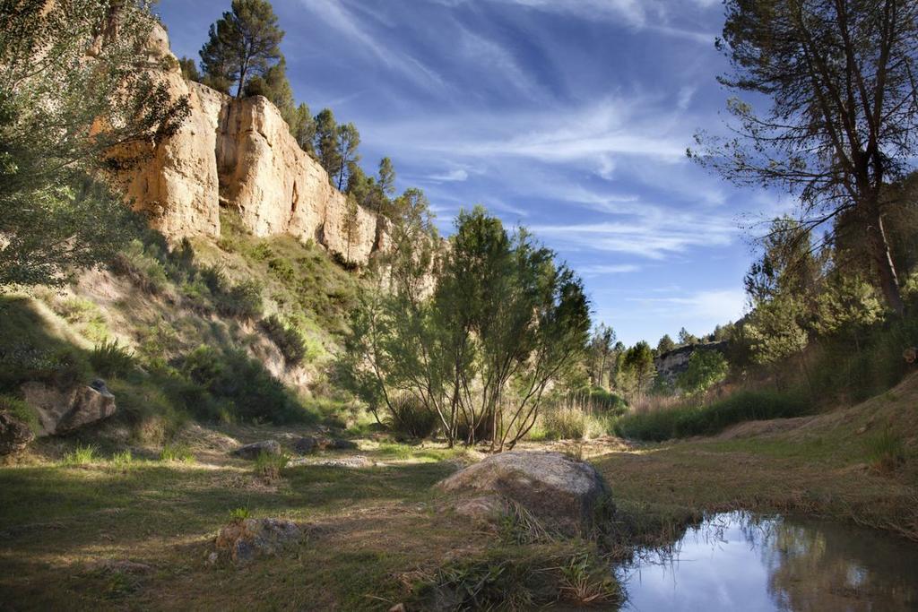 Alojamiento Turístico La Tinaja Requena Exterior foto